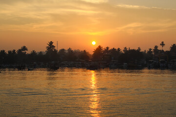 Amazing sunrise ocean landscape, waves and palms near Mirissa, Sri Lanka