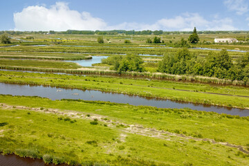 a river in the middle of a grassy area with trees and bushes on both sides, surrounded by green grass