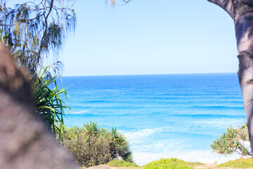 木々の間から見るオーストラリアの青空と青い海