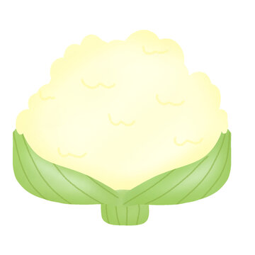 cute vegetable