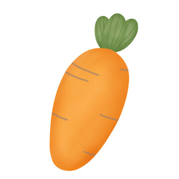 cute vegetable