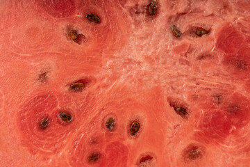 Watermelon Seamless Pattern