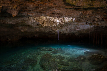 Cenotes 