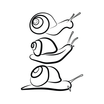Snail animal cartoon line art sketch suitable for coloring book