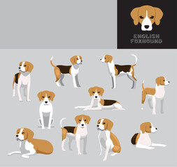 Dog English Foxhound Cartoon Vector Illustration Color Variation Set