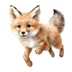 Obraz premium Red fox jump isolate on white background, Watercolor style.