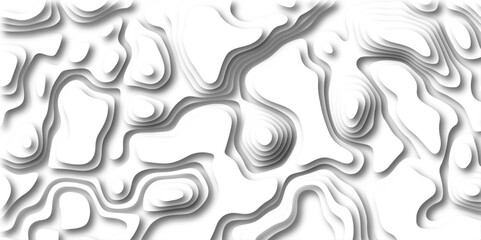 Abstract wavy line 3d paper cut white background. Topographic canyon geometric map relief texture with curved layers and shadow. paper cut 3d render topography abstract ,beautiful white color.