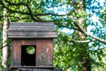 Feeder for birds and squirrels in the forest on a summer day.