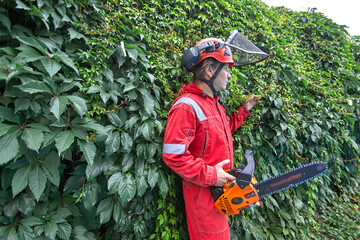 A worker with a chainsaw. A man removes emergency trees with a chainsaw.