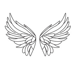 Fototapeta premium Doodle wing isolated on white background. Hand drawn wings outline. Vector illustration.