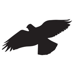 Dove silhouette. Hand draw bird silhouette. Vector illustration.