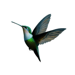 Enchanted Hummingbird Delight, Generative AI