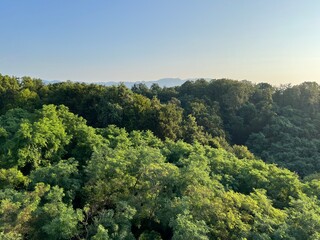 View of forests, fields, villages and Zagorje hills, during a panoramic balloon flight over Croatian Zagorje - Croatia (Panoramski let balonom iznad Hrvatskog zagorja - Hrvatska)