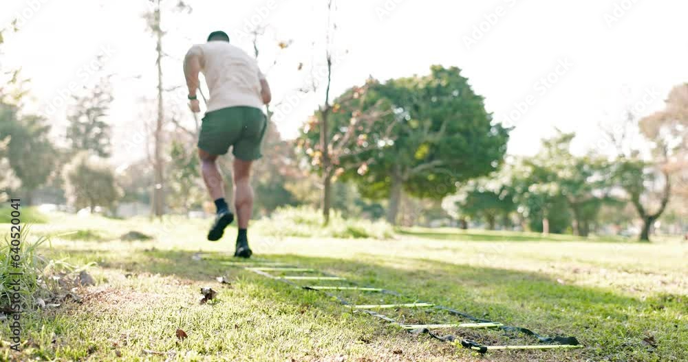 Canvas Prints Park exercise, speed ladder and person doing outdoor nature workout, morning cardio drill or athlete exercise challenge. Back of agile runner doing active sports training on green grass field