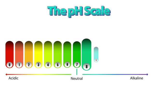 Colorful bar showing pH Scale from Acidic to Neutral and Alkaline with different objects indicating the pH Scale of each matter in both white and green background.