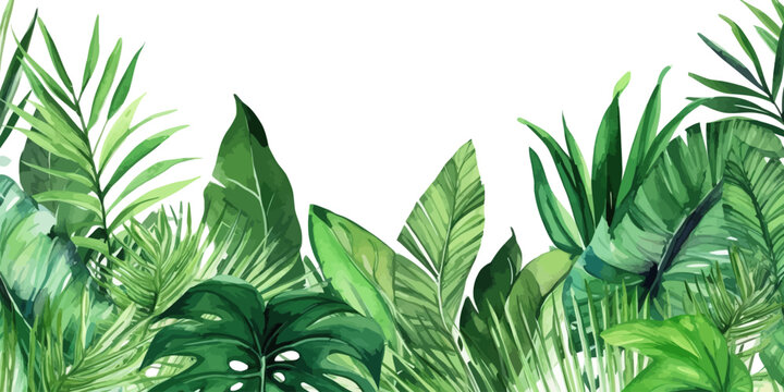 Tropical leaves border in watercolor style. Vector illustration desing. © Tamara