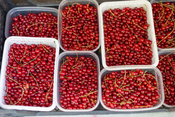 Red currants in boxes in grocery