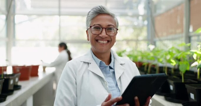 Tablet, portrait and sustainability with an old woman in a greenhouse to study plant growth for ecology research. Technology, science and agriculture with a scientist working on medicine innovation