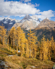 Jumbo Pass in Fall, British Columbia Canada