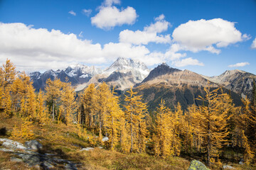 Fototapeta na wymiar Jumbo Pass in Fall, British Columbia Canada