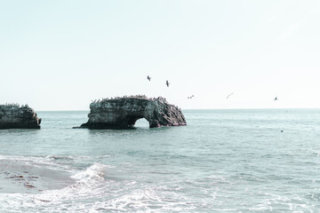 Birds flying over an ocean rock formation in California