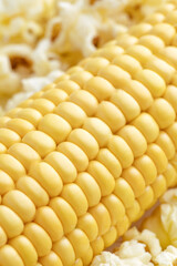 macro photo of a corn cob