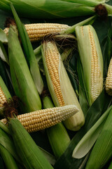 Fresh corn on cobs on table, closeup