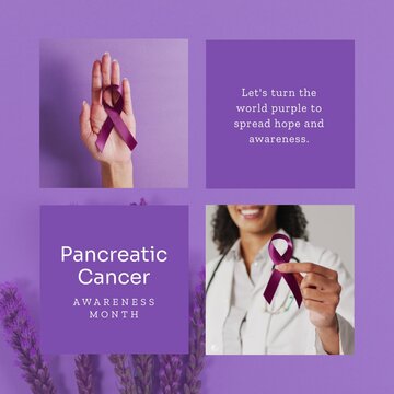 Pancreatic cancer awareness month text and diverse cropped hand and doctor holding purple ribbons