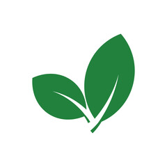 leaf icon on white background