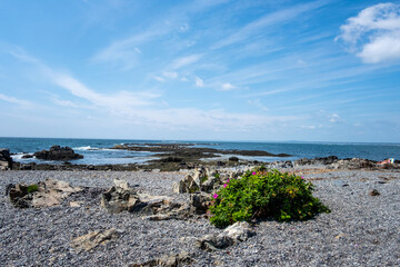 Rocky coastline near Kennebunkport, Maine.