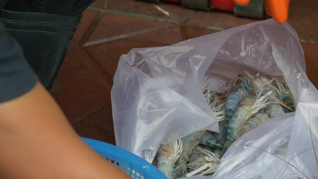 worker processing peeling river prawn shell by hand in thailand street market