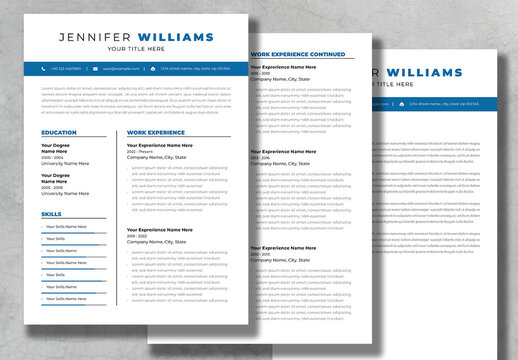 Professional Resume Layout