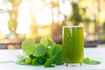 Gotu kola juice, Centella asiatica drink, Asiatic Pennywort on wood background