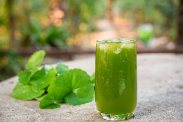 Gotu kola drink, Centella asiatica juice,heart tonic, Asiatic leaf juice