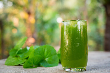 Gotu kola drink, Centella asiatica juice,heart tonic, Asiatic leaf juice
