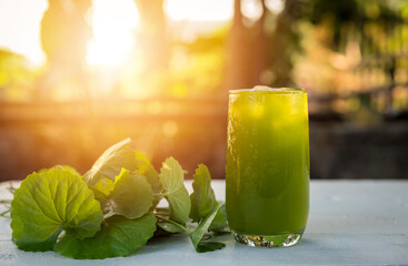 Gotu kola drink, Centella asiatica juice,heart tonic, Asiatic leaf juice