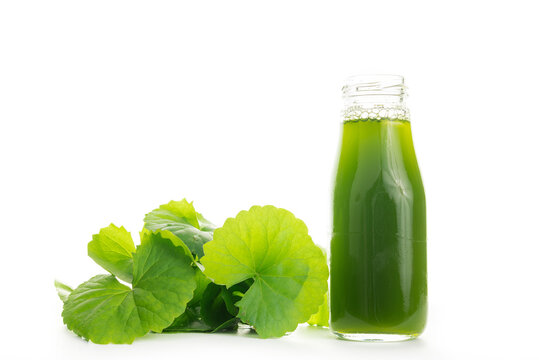 Gotu kola in Glass bottle, Centella asiatica juice, Asiatic Pennywort,Herbal Drink.  isolated on white background