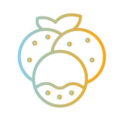 Food Fruit Longan Gradient Icon