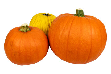 Pumpkins. Colorful decorative pumpkins without background.