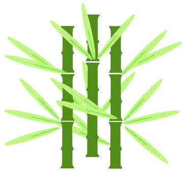 recommend clip art: Illustration of bamboo stems with leaves, suitable for design projects related to nature, Asia and sustainability.