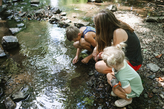 Kids exploring water on creek bank on summer day