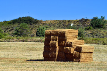 Hay bales after grain harvest under blue sky