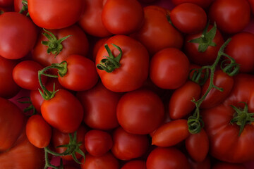 Healthy tomatoes at the market. Top view.