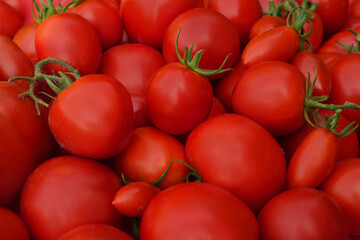 Beautiful tomatoes. Bazaar. Side view.