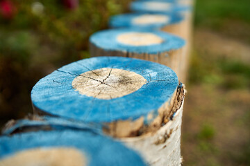 Close-up of decorative wooden stumps, which are painted in blue colors