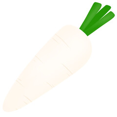 White radish
