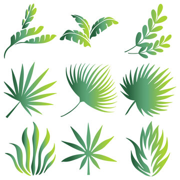 Free vector collection of silhouette illustrations of tropical leaf shapes in green gradient colors