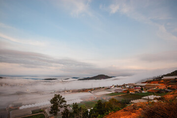 It is a Thai flower in the spine