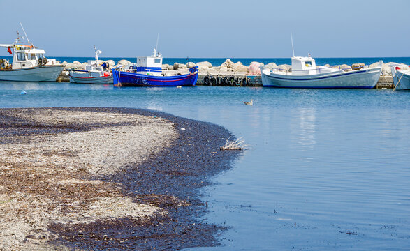 fishing boats in the harbor of Skyros island , Greece