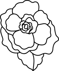 chinese flower illustration elements draw